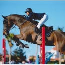 CSI*** OLIVA