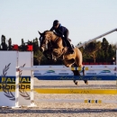 CSI*** OLIVA NOVA Virtuose