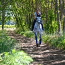 Photo gallery life at the stables