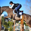 CSI*** OLIVA
