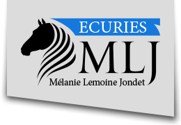 Logo Stables Mlanie Lemoine Jondet