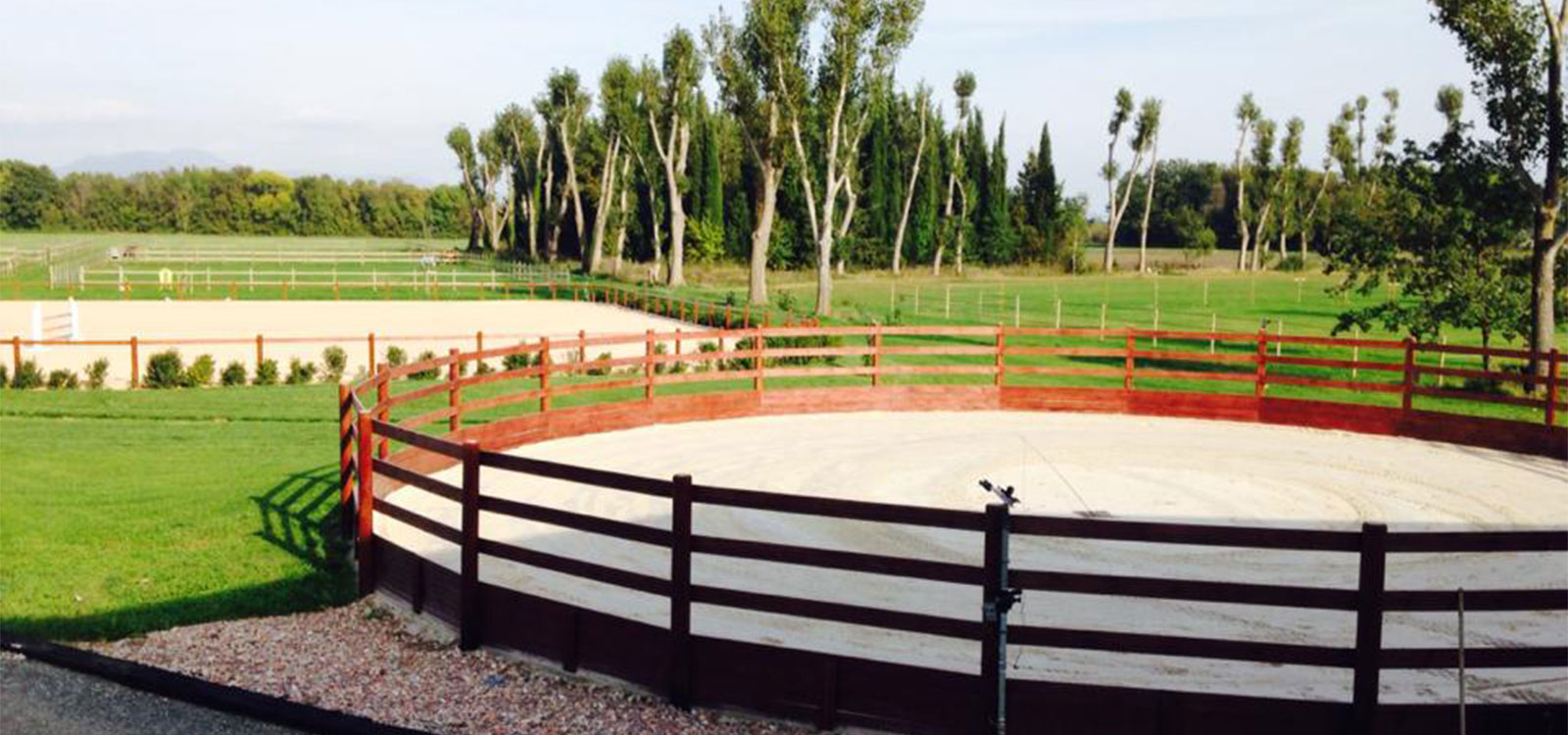 Horse sale